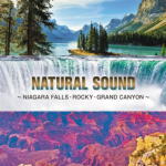 ヒーリング　CD 【ナチュラル・サウンド＜ナイアガラ、ロッキー、グランドキャニオン＞】 2020/12/9発売 〇雄大な自然が奏でるハーモニーが、あなたを心から癒してくれる。1977年に『ナチュラル・サウンド・シリーズ』として発売された作品から、究極の癒しサウンドとも言える&quot;水&quot;と&quot;風&quot;をまとめたアルバム。ナイアガラの巨大な滝の瀑布、ロッキーの川を流れる水の音、グランドキャニオンの風、他に聴こえてくるのは、野鳥の声だけ。聴いていると、自然に包まれていると錯覚し、時間の経つのを忘れさせてくれる音です。どこに行っても車や飛行機の音が聞こえてくる現代において、自然の音だけを楽しめる究極の癒しサウンドをお楽しみください。 ■仕様 ・CD（1枚） ■収録内容 [CD]01.ナイアガラの滝 02.ロッキー山脈 コロラド河の源流 03.グランド・キャニオンの風 *1977年現地実況録音 ※収録予定内容の為、発売の際に収録順・内容等変更になる場合がございますので、予めご了承下さいませ。 ★同時発売！ ■【ミュージケア・ヒーリング・シリーズ】他タイトルは　こちら 「ヒーリング」関連の他の商品はこちらへ 【ご注文前にご確認下さい！！】（日本国内） ★ただ今のご注文の出荷日は、発売日後です。 ★配送方法とお届け日数と 送料につきましては、お荷物の大きさ、お届け先の地域によって異なる場 合がございますので、ご理解の上、予めご了承ください。