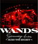 【オリコン加盟店】★10%OFF■WANDS Blu-ray【WANDS Streaming Live 〜BURN THE SECRET〜】21/4/7発売【楽ギフ_包装選択】 3,960円