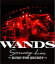 ڥꥳŹۡ10OFFWANDSBlu-rayWANDS Streaming Live BURN THE SECRET21/4/7ȯڳڥ_