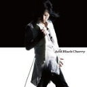 【オリコン加盟店】■通常盤★ジャケットB■Acid Black Cherry CD【愛してない】07/11/28発売【楽ギフ_包装選択】