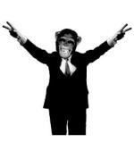 【オリコン加盟店】初回限定盤[取寄せ]★DVD付き■Muddy Apes[マディエイプス]　CD+DVD【Crush It】12/8/29発売【楽ギフ_包装選択】