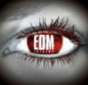 【オリコン加盟店】V.A. CD【EDM アンセム II】13/8/14発売【楽ギフ_包装選択】