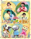 【オリコン加盟店】10%OFF■NHKおかあさんといっしょ DVD【ファミリーコンサート「いたずらたまごの大冒険!」】14/1/29発売【楽ギフ_包装選択】
