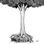 åȥޡ奨꡼Music㤨֡ڥꥳŹ۽[]СХȥ쥤ƥʡCDNO̿פ˺餤֡15/7/15ȯڳڥ_ۡפβǤʤ1,760ߤˤʤޤ