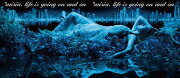 オリコン加盟店▼初回生産 盤 代引不可/取 豪華PHOTOBOOK付付■MISIACD Lifeisgoingonandon