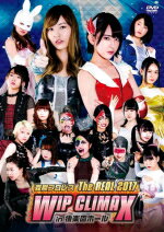 【オリコン加盟店】10％OFF■AKB48　2DVD【豆腐プロレス The REAL 2017 WIP CLIMAX in 8.29 後楽園ホール】18/2/7発売【楽ギフ_包装選択】