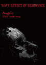 【オリコン加盟店】10％OFF■Angelo アンジェロ 2DVD【Angelo Tour 2018-2019「WAVY EFFECT OF RESONANCE」】19/4/24発売【楽ギフ_包装選択】