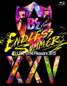 【オリコン加盟店】★完全盤★スリーブ仕様★送料無料■B'z 2Blu-ray【B'z LIVE-GYM Pleasure 2013 ENDLESS SUMMER -XXV BEST-】14/1/29発売【楽ギフ_包装選択】