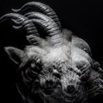 【オリコン加盟店】■the GazettE　CD【BEAUTIFUL DEFORMITY】13/10/23発売【楽ギフ_包装選択】