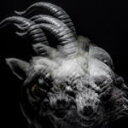 【オリコン加盟店】■the GazettE CD【BEAUTIFUL DEFORMITY】13/10/23発売【楽ギフ_包装選択】