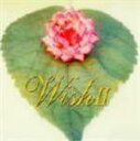 【オリコン加盟店】■V.A. CD 【WISH 2】09/5/20発売【楽ギフ_包装選択】