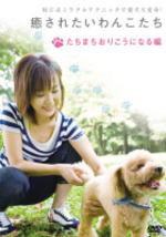 ペット・愛犬 松江香史子 　DVD 【癒されたいわんこたち たちまちおりこうになる編】 10%OFF 2008/10/15発売 松江香史子の愛犬が賢くなるミラクルテクニック! 第1巻は、犬のドキドキとストレスを解消！ ○2008年10月15日発売 【ご注意】 ★★お待たせして申し訳ございませんが、輸送事情により、お品物の到着まで発送から2〜4日ほどかかり、発売日に到着が困難と思われますので、ご理解の上、予めご了承下さいませ。★お急ぎの方は、メール便速達（送料+100円），郵便速達（送料+270円）、もしくは宅配便（送料600円）にてお送り致しますので、備考欄にて、その旨お申し付けくださいませ。 収録内容（予定） DVD ◆DOG STORYS#1「犬が苦手な犬もいるんだ!」 ◆基礎知識( 1)ドキドキしている表情って? ◆基礎知識( 2)体の状態でドキドキを知る ◆実践編( 1)怖がりわんこを落ち着かせる ◆実践編( 2)後ろ足を思い出せば自然に歩ける ◆実践編( 3)足のつっぱり解消法 ◆実践編( 4)口元ゆるめてリラックス ◆実践編( 5)足先を意識させる ◆実践編( 6)ひっぱり癖を直す ◆天才犬を育てよう〜子犬期の育て方〜 ◆DOG STORYS#2「犬だって刺激がほしいの!」 ◆ストレス解消法( 1)マンネリ散歩をサプライズ散歩に! ◆ストレス解消法( 2)自分だけの空間を作る ◆ストレス解消法( 3)わんこらしい遊びでストレス発散 ◆ストレス解消法( 4)わんこがドキドキする触り方 ◆ストレス解消法( 5)わんこをドキドキさせない触り方 ・収録時間　本編 60分 ※収録予定内容の為、発売の際に収録順・内容等変更になる場合がございますので、予めご了承下さいませ。 「癒されたいわんこたち」の他のCD・DVDは 【こちら】へ ■配送方法は、誠に勝手ながら「クロネコメール便」または「郵便」を利用させていただきます。その他の配送方法をご希望の場合は、有料となる場合がございますので、あらかじめご理解の上ご了承くださいませ。 ■お待たせして申し訳ございませんが、輸送事情により、お品物の到着まで発送から2〜4日ほどかかりますので、ご理解の上、予めご了承下さいませ。お急ぎの方は、メール便（速達＝速達料金100円加算），郵便速達（送料+270円）にてお送り致しますので、配送方法で速達をお選びくださいませ。 ■ギフト用にラッピング致します（無料）■【買物かごへ入れる】ボタンをクリックするとご注文できます。