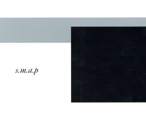 【オリコン加盟店】■SMAP　2CD【super.modern.artistic.performance】08/9/24発売