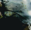 【オリコン加盟店】■送料無料■凛として時雨 CD【just A moment】09/5/13発売【楽ギフ_包装選択】