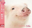 【オリコン加盟店】■V.A. クラシック CD【「ゆるクラ」わいわいカフェ】10/3/24発売【楽ギフ_包装選択】