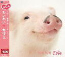 V.A. クラシック 　CD 【【ゆるクラ】わいわい　カフェ】 2010/3/24発売 目と耳で癒される、気軽にゆる〜く楽しめる「ゆるクラ」です！ 気の合う仲間と楽しくおしゃべり。 ○クラシックにもワイワイと仲間でくつろぐ時にピッタリの曲はあるものです。 ■【ゆるクラ】わいわいカフェ ◎同日発売【ゆるクラ】シリーズは下記をクリックしてご覧ください。 ■【ゆるクラ】いきいきプレイン ■【ゆるクラ】うるうるセンチメンタル ■【ゆるクラ】いけいけモーニング ■【ゆるクラ】わくわくパラダイス ■【ゆるクラ】どきどきラヴストーリー ■【ゆるクラ】わいわいカフェ ■【ゆるクラ】ほのぼのスマイリー ■【ゆるクラ】ゆるゆるトワイライト ■【ゆるクラ】ゆらゆらララバイ ■【ゆるクラ】すやすやドリーム ○2010年03月24日発売 【ご注意】 ★ただ今のご注文の発送日は、発売日翌日（3/25）です。 ★お待たせして申し訳ございませんが、輸送事情により、お品物の到着まで発送から2〜4日ほどかかり、発売日に到着が困難と思われますので、ご理解の上、予めご了承下さいませ。 ★お急ぎの方は、メール便速達（送料+100円），郵便速達（送料+270円）、もしくは宅配便（送料600円）にてお送り致しますので、備考欄にて、その旨お申し付けくださいませ。 収録曲（予定） CD 1.美しきロスマリン（クライスラー） 2.歌劇《トゥーランドット》より 誰も寝てはならぬ（プッチーニ） 　 バッハが街へやってくる（テンプルトン） 3. I. プレリュード 4. II. フーガ 5.組曲《ベルシャザール王の饗宴》より カドゥラの踊り（シベリウス） 6.組曲《歴史的情景》第2番より はね橋にて（シベリウス） 7.《休暇の日々から》第1集より ロマンティックなワルツ（セヴラック） 8.弦楽四重奏曲 変ホ長調 第4楽章（シベリウス） 9.交響曲第1番《古典交響曲》第2楽章（プロコフィエフ） 10.歌劇《エフゲニー・オネーギン》より ポロネーズ（チャイコフスキー） 11.歌劇《椿姫》より 乾杯の歌（ヴェルディ） 12.弦楽四重奏曲第23番 第2楽章（モーツァルト） 13.メヌエット（ボッケリーニ） 14.西フィンランドのポロネーズ Op.64-5（パルムグレン） 15.ドロットニングホルムの音楽 第1番（ローマン） 16.アランフェス協奏曲 第3楽章（ロドリーゴ） 17.スペイン交響曲 第5楽章（ラロ） ※収録予定内容の為、発売の際に収録順・内容等変更になる場合がございますので、予めご了承下さいませ。 「クラシック」の他のCD・DVDは 【こちら】へ ■配送方法は、誠に勝手ながら「クロネコメール便」または「郵便」を利用させていただきます。その他の配送方法をご希望の場合は、有料となる場合がございますので、あらかじめご理解の上ご了承くださいませ。 ■お待たせして申し訳ございませんが、輸送事情により、お品物の到着まで発送から2〜4日ほどかかりますので、ご理解の上、予めご了承下さいませ。お急ぎの方は、メール便（速達＝速達料金100円加算），郵便（冊子速達＝速達料金270円加算）にてお送り致しますので、配送方法で速達をお選びくださいませ。 ■ギフト用にラッピング致します（無料） ■【買物かごへ入れる】ボタンをクリックするとご注文できます。 楽天国際配送対象商品（海外配送) 詳細はこちらです。 Rakuten International Shipping Item Details click here　