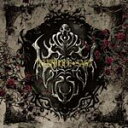 【オリコン加盟店】■ジャケットC★送料無料■D(ディー) CD【VAMPIRE SAGA】11/1/12発売【楽ギフ_包装選択】