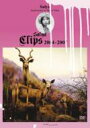【オリコン加盟店】■サリュ(Salyu) music CLIP DVD【Clips 2004-2007】07/11/28発売【楽ギフ_包装選択】