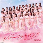 Idol Name: Ma Line - 【オリコン加盟店】Type-B[初回プレス][取]★生写真1枚封入+イベント参加券封入■NGT48 CD+DVD【シャーベットピンク】20/7/22発売【楽ギフ_包装選択】