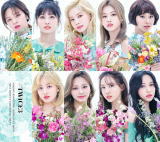  IRX B uX^[P[Xdl DVDt+_gJ1 fUCʃobW+fUCgJ TWICE@CD+DVD #TWICE3 20 9 16 yMt_I 