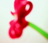 【オリコン加盟店】特典告知ポスター[希望者]★初回生産限定盤[取]★DVD付★初回生産分のみプレイパス封入..