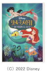 【オリコン加盟店】★10％OFF■ディズニー アニメ DVD【リトル・マーメイドII～RETURN TO THE SEA～】22/1/19発売【楽ギフ_包装選択】