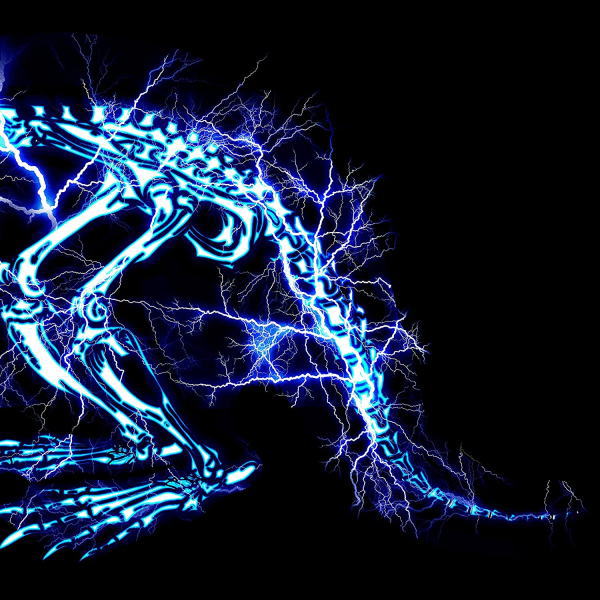 【オリコン加盟店】■通常盤■SUPER BEAVER CD【儚くない】23/6/28発売【楽ギフ_包装選択】