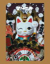 【オリコン加盟店】通常盤★10%OFF■椎名林檎 DVD【椎名林檎と彼奴等と知る諸行無常】23/11/22発売【楽ギフ_包装選択】