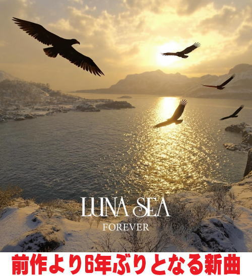 楽天市場】真矢 LUNA SEAの通販
