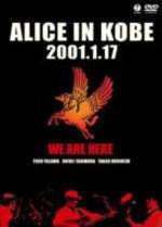 【オリコン加盟店】■アリス（ALICE）　DVD【ALICE IN KOBE 2001.1.17】09/7/22発売【楽ギフ_包装選択】