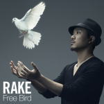 【オリコン加盟店】送料無料■通常盤■Rake CD【Free Bird】13/9/4発売【楽ギフ_包装選択】