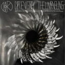 送料無料■通常盤■DIR EN GREY CD13/4/3発売