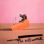 TM NETWORK　Blu-spec　CD213/2/20発売