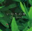 【オリコン加盟店】国安修二 CD【いのちの芽】15/6/24発売【楽ギフ_包装選択】 1,324円
