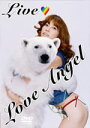【オリコン加盟店】■hitomi DVD【hitomi LIVE TOUR 2005“Love Angel”】3/29【楽ギフ_包装選択】