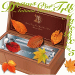 【オリコン加盟店】■オルゴール CD【DREAMS COME TRUE MUSIC BOX Vol.5 -AUTUMN LEAVES-】09/10/1発売【楽ギフ_包装選択】 1