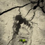 【オリコン加盟店】Jeepta［ジプタ］　CD【リードオフマン】11/10/5発売【楽ギフ_包装選択】