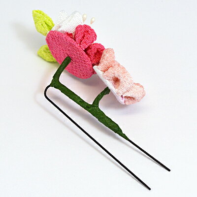 ��������ڤĤޤߺٹ���ȱ���ꡡ�֡�������ʪ���إ����������꡼���إ��ԥ�U�ԥ�[����Բ�]�ڳڥ���_���������