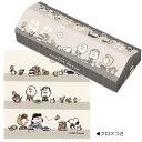 ■スヌーピー SNOOPY PEANUTS キャラクター【クロス付き ハウス型メガネケース】眼鏡ケース ハードケース メガネ拭き マグネット式 お家型 かわいい...