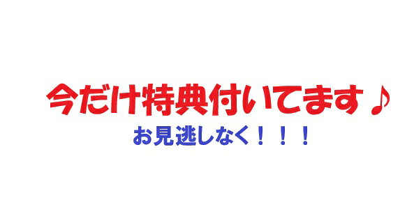 【オリコン加盟店】特典3種(チャーム/ばんそうこう/トレカセット)[外付]●[DVDセット]★初回限定盤1+初回限定盤2+通常盤+期間生産限定スキスギるエディションセット■なにわ男子 CD+DVD【HARD WORK】26/2/18発売【ラッピング不可】の商品画像 2