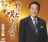 【オリコン加盟店】山田太郎　CD【やっと咲いたよなぁ】18/12/19発売【楽ギフ_包装選択】