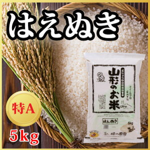 【令和2年度産】山形県産 はえぬき 5kg（10-A3）