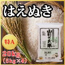 【令和元年度産新米】山形県産 はえぬき 20kg（5kg×4）（10-H3）