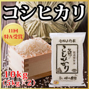 【令和元年度産新米】山形県産 北限のコシヒカリ 10kg（5kg×2）（10-D）...