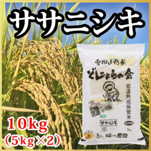 【令和元年度産】山形県産 ササニシキ 10kg（5kg×2）（複数原料米）(10-B1)