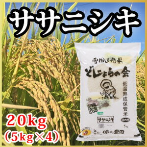 【令和元年度産新米】山形県産 ササニシキ 20kg（5kg×4）（複数原料米）(10...