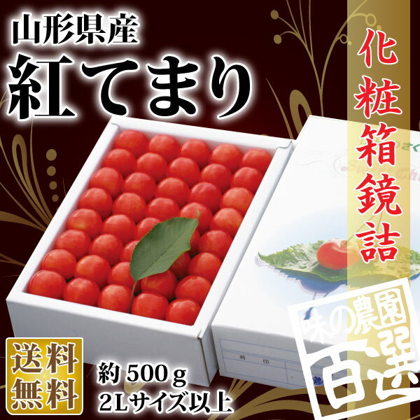 紅てまり 化粧箱鏡詰約500g 2Lサイズ以上(72-O)