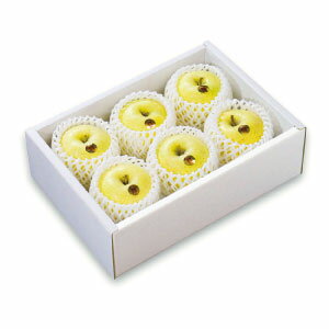 山形産 シナノゴールド 約2kg(09-U)