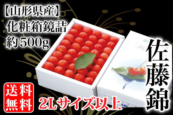 露地栽培 最盛期佐藤錦 化粧箱鏡詰約500g 2Lサイズ以上（61-O）【山形産/さくらんぼ/サクランボ/送料無料/贈答用/産地直送/お中元】