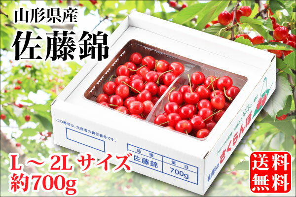 露地栽培 最盛期佐藤錦 バラ詰約700g L〜2Lサイズ（61-F）【山形産/さくらんぼ/サクランボ/送料無料/贈答用/産地直送/お中元】